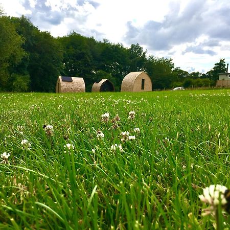 Ingleby Greenhow Alder Pod, Clay Bank Huts酒店 外观 照片