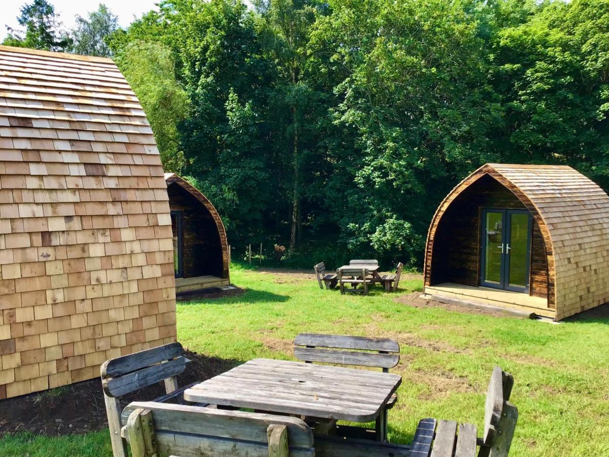 Ingleby Greenhow Alder Pod, Clay Bank Huts酒店 外观 照片